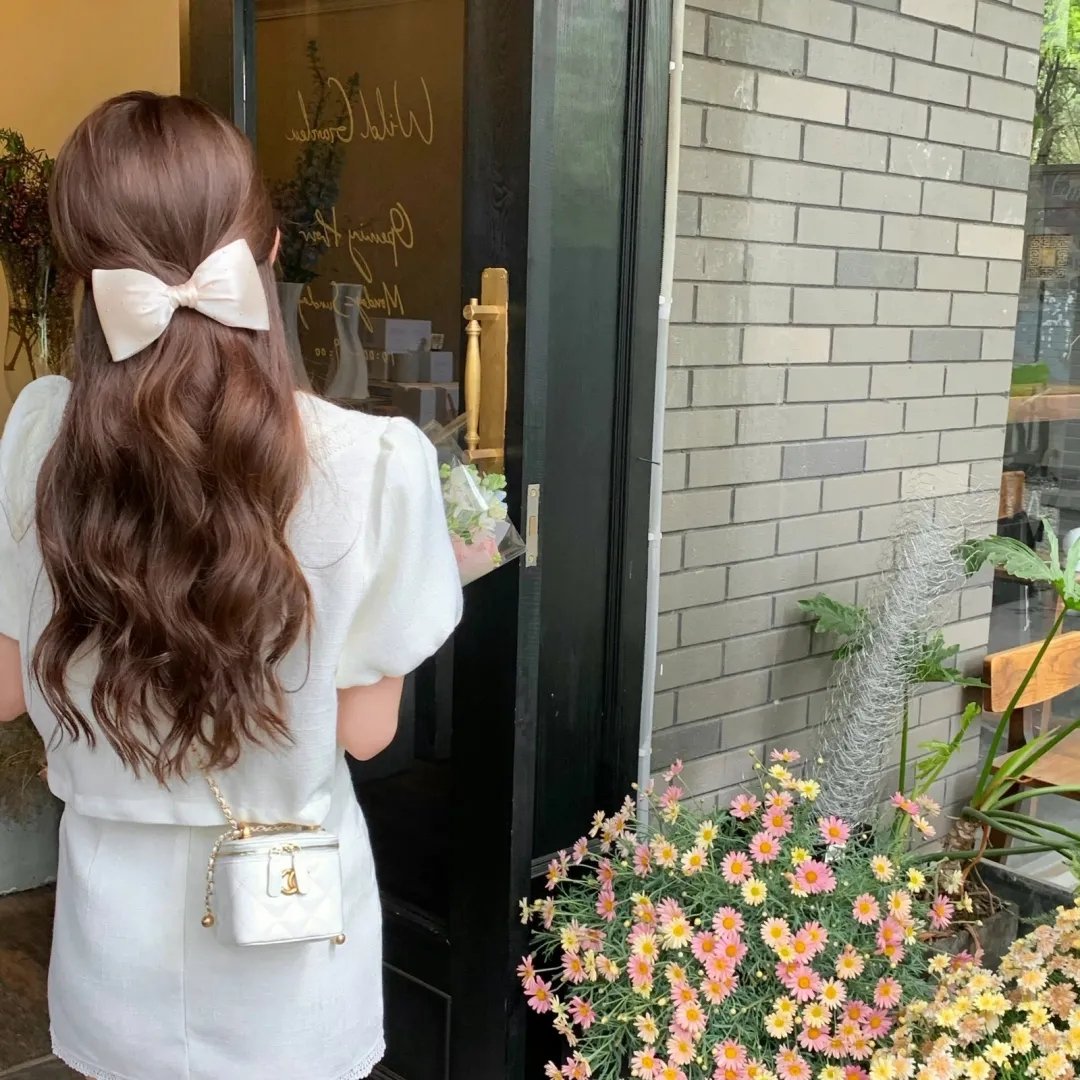 探索白蚁密室